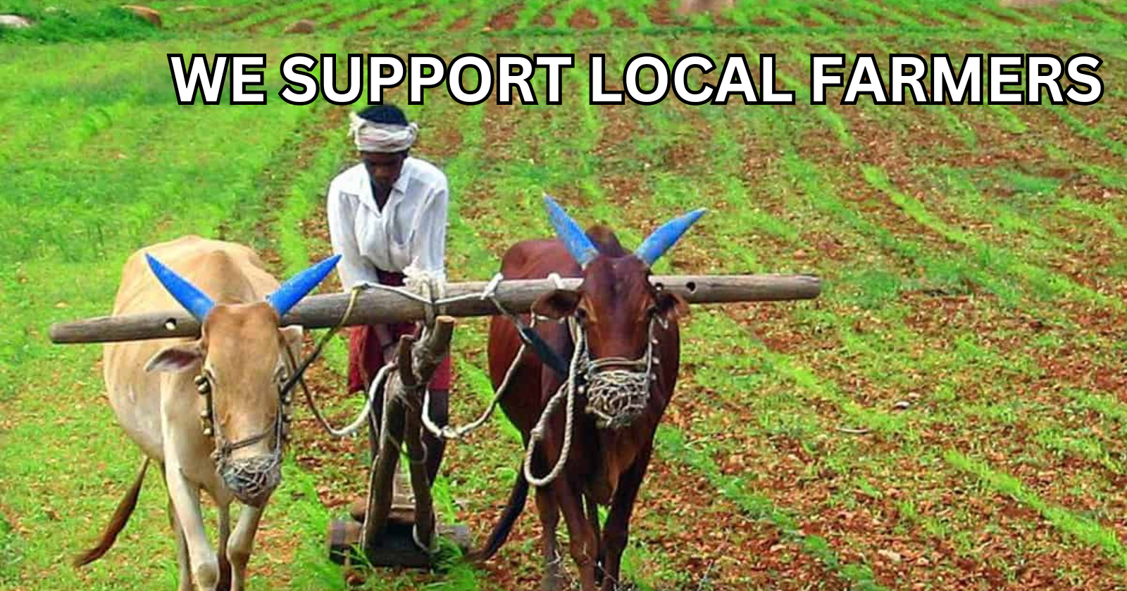 WE SUPPORT LOCAL FARMERS
